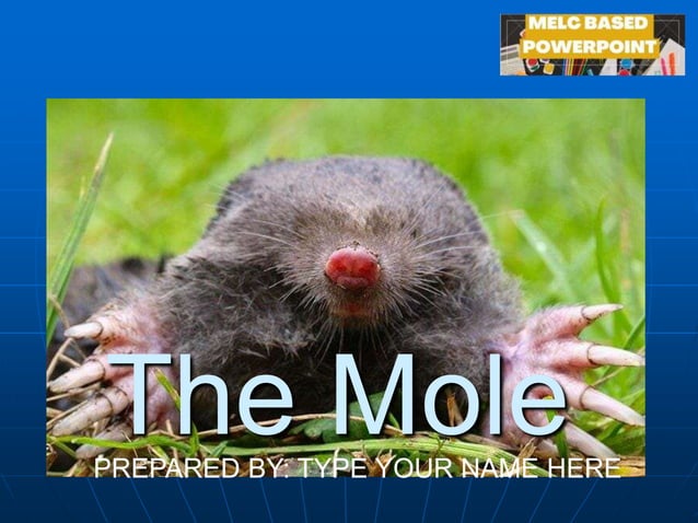 Mole Concept.pptx (Grade 9, second quarter) | PPT