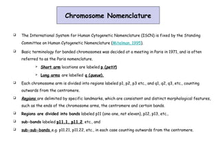Structure and Function od Deoxyribonucleic acid DNA | PPT