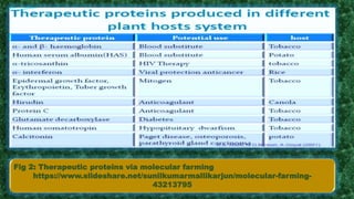 Fig 2: Therapeutic proteins via molecular farming
https://www.slideshare.net/sunilkumarmallikarjun/molecular-farming-
43213795
 