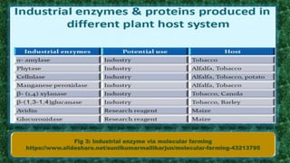 Fig 3: Industrial enzyme via molecular farming
https://www.slideshare.net/sunilkumarmallikarjun/molecular-farming-43213795
 