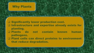 Why Plants
 Significantly lower production cost.
 Infrastructure and expertise already exists for
planting.
 Plants do not contain known human
pathogens.
 Plant cells can direct proteins to environment
that reduce degradation.
 