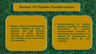 Nuclear VS Plastids Transformation
 Stable nuclear transformation
involves transfer of gene of
interest into the nuclear
genome of plant, thereby
altering its genetic makeup
and leading to the expression
of transgene.
 Transformation of plastid
genome provides a valuable
alternative to nuclear
transformation because it
eliminates the provision of a
natural bio contaminant of
transgene flow by out
crossing.
 