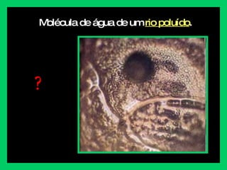 Molécula de água de um  rio poluído . ? 