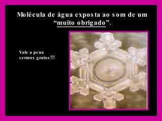 Molécula de água exposta ao som de um “ muito obrigado ”. Vale a pena sermos gratos!!! 