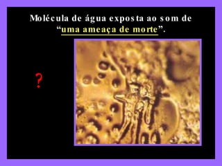 Molécula de água exposta ao som de “ uma ameaça de morte ”. ? 