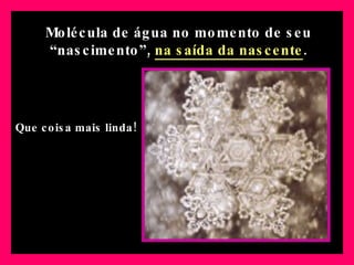 Molécula de água no momento de seu “nascimento”,  na saída da nascente . Que coisa mais linda! 