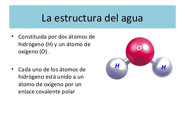 Primer Nivel De La Molecula Del Agua es.slideshare.net