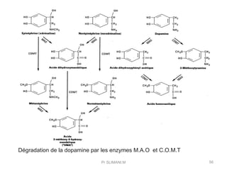 Pr SLIMANI.M 56
Dégradation de la dopamine par les enzymes M.A.O et C.O.M.T
 