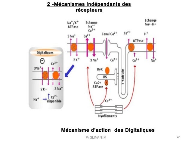 Pharmacologie Moléculaire Pharmacologie Moléculaire