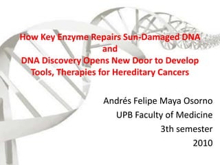 How Key Enzyme Repairs Sun-Damaged DNAandDNA Discovery Opens New Door to Develop Tools, Therapies for Hereditary Cancers Andrés Felipe Maya Osorno UPB Faculty of Medicine 3th semester 2010 