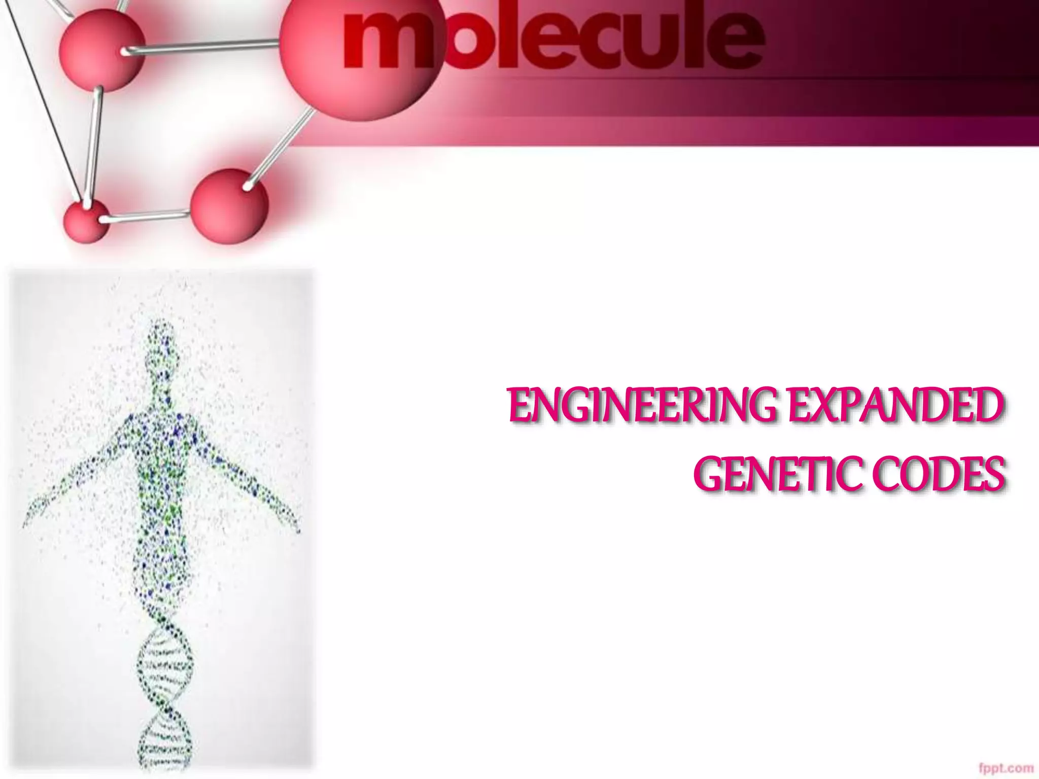 Expanded Genetic Code Engineering Pptx