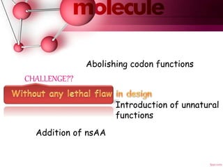 Abolishing codon functions
Addition of nsAA
Introduction of unnatural
functions
CHALLENGE??
 