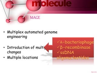 Expanded Genetic Code Engineering Pptx