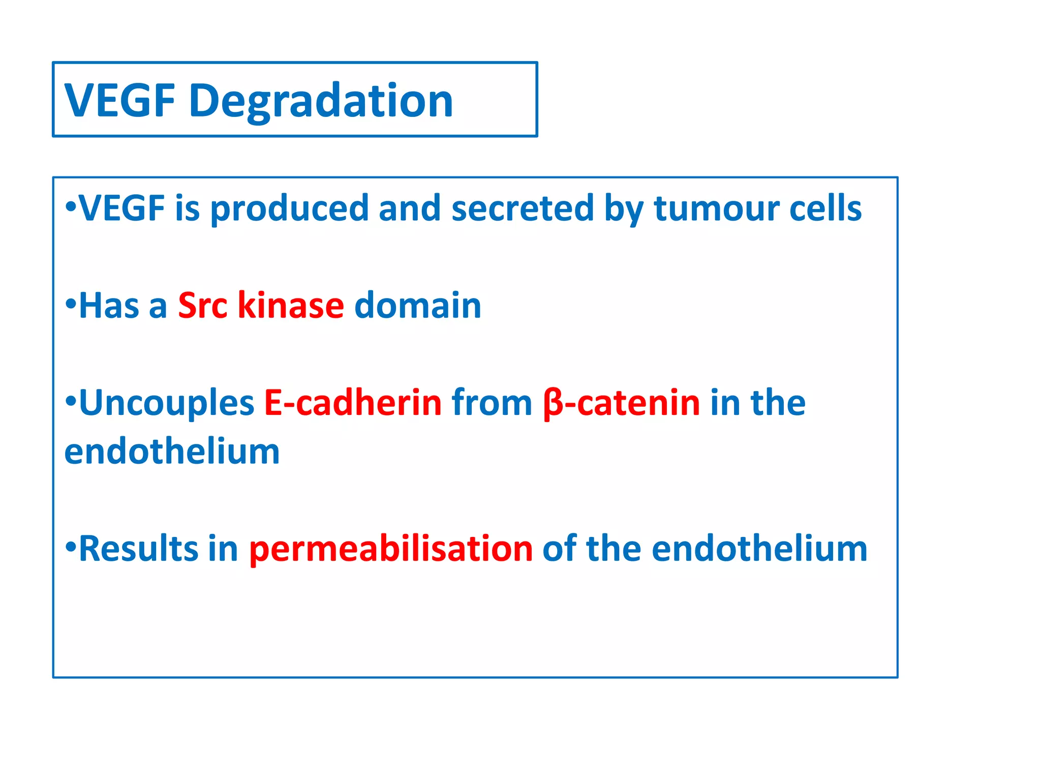 VEGF Degradation
•VEGF is produced and secreted by tumour cells
•Has a Src kinase domain
•Uncouples E-cadherin from β-catenin in the
endothelium
•Results in permeabilisation of the endothelium
 