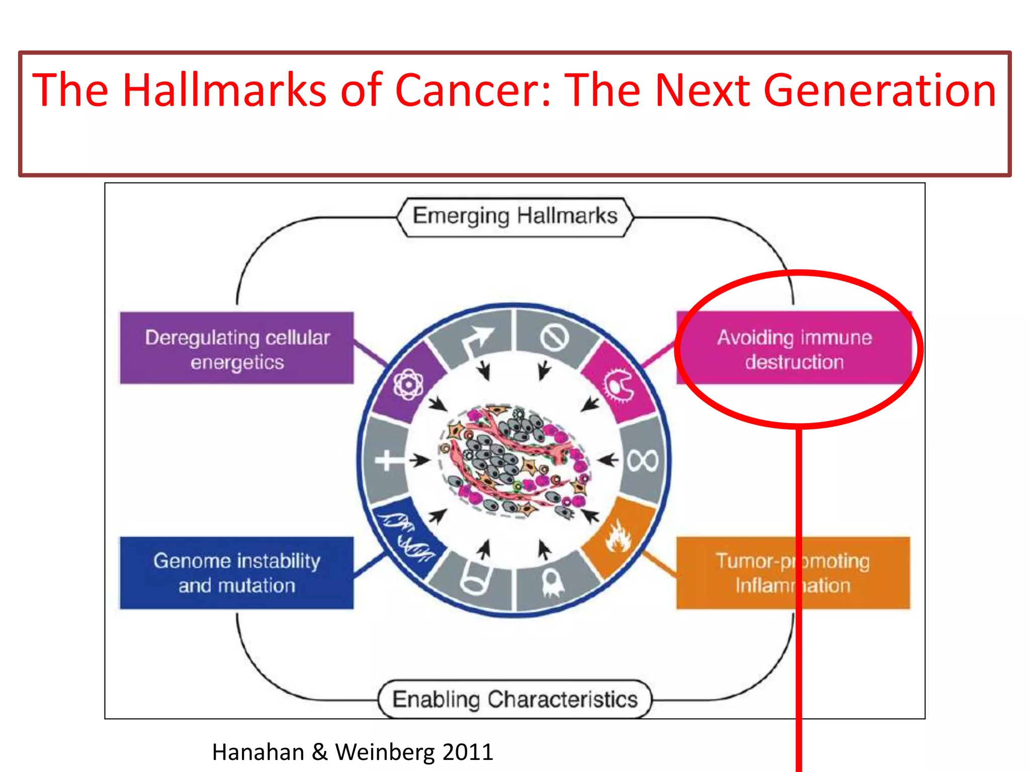 The Hallmarks of Cancer: The Next Generation
Hanahan & Weinberg 2011
 