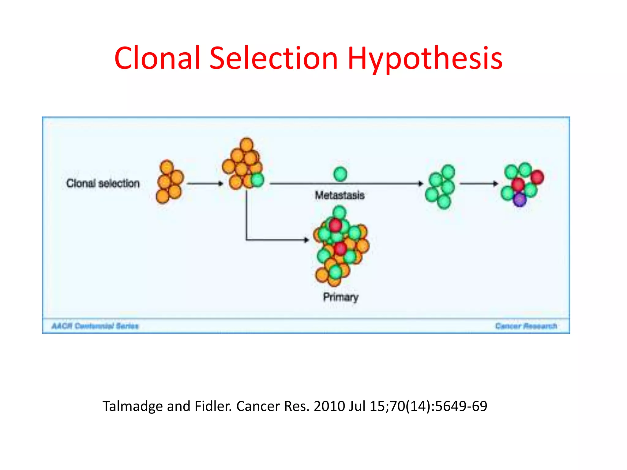 Clonal Selection Hypothesis
Talmadge and Fidler. Cancer Res. 2010 Jul 15;70(14):5649-69
 