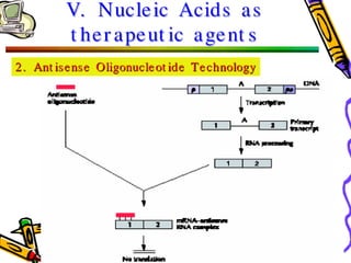 Molecular Biotechnology