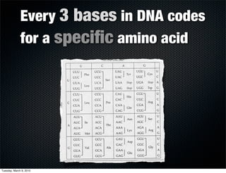 Molecular Genetics | PDF