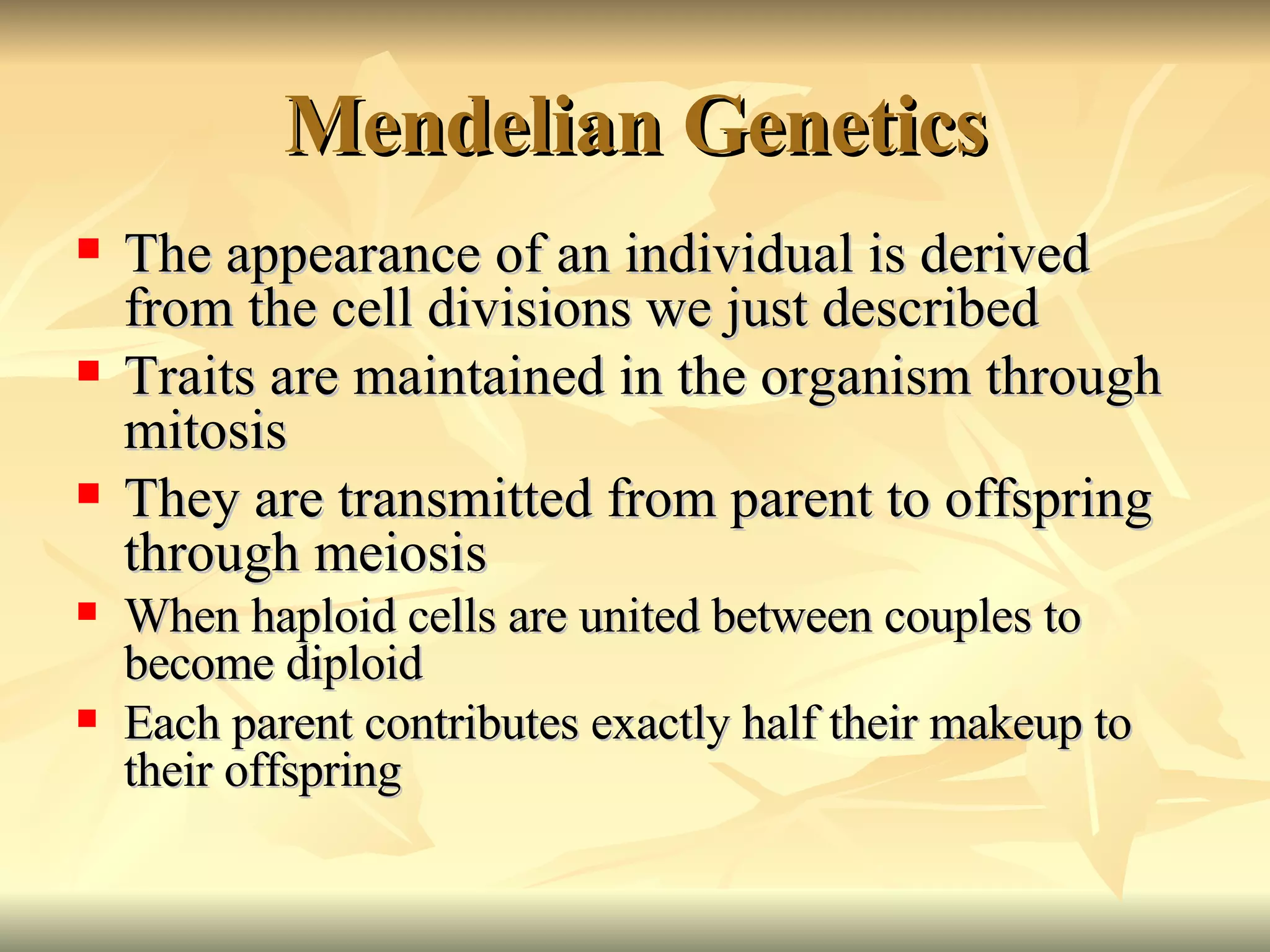 Mendelian Genetics The appearance of an individual is derived from the cell divisions we just described Traits are maintained in the organism through mitosis They are transmitted from parent to offspring through meiosis When haploid cells are united between couples to become diploid Each parent contributes exactly half their makeup to their offspring 