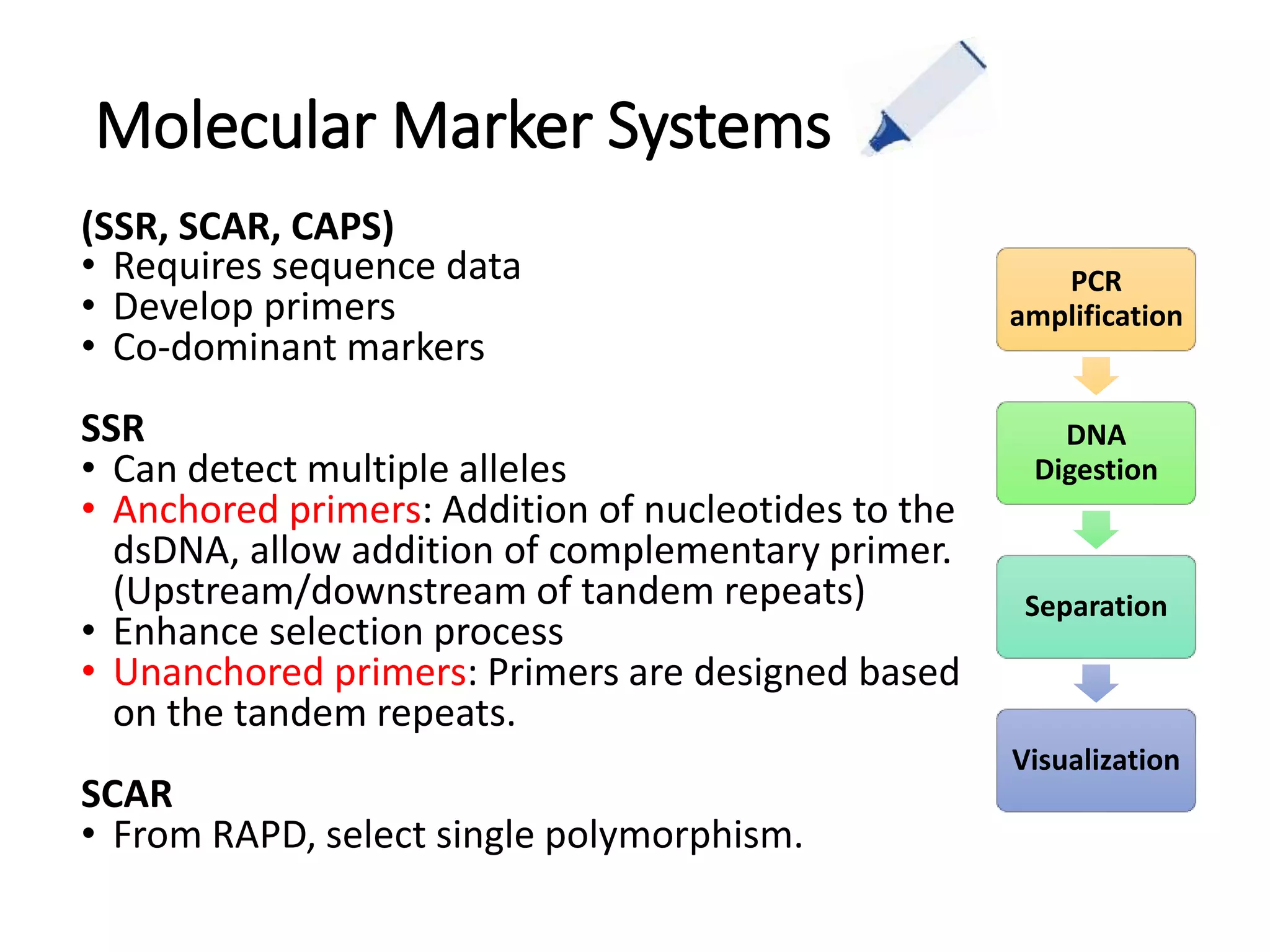 Molecular Plant Breeding-Biotechnology for Crop Improvement | PPTX