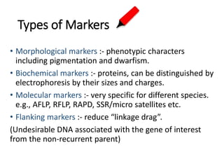 Molecular Plant Breeding-Biotechnology for Crop Improvement | PPTX