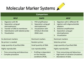 Molecular Plant Breeding-Biotechnology for Crop Improvement | PPTX