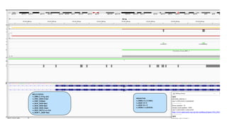 DELETIONS
•c.2888 (2-35 bp del)
•c.2903_3028+67del
•c.2905_2940del
•c.3010_3028+8del
•c.3018_3028+8del
•c.3020_3028+24del
•c.3025_3027GAA>Gfs
•c.3028+1_3028+9del
MISSENSE
•c.3008A>G (Y1003)
•c.3028+2T>C
•c.3028+1G>T
•c.3028G>A (D1010)
 