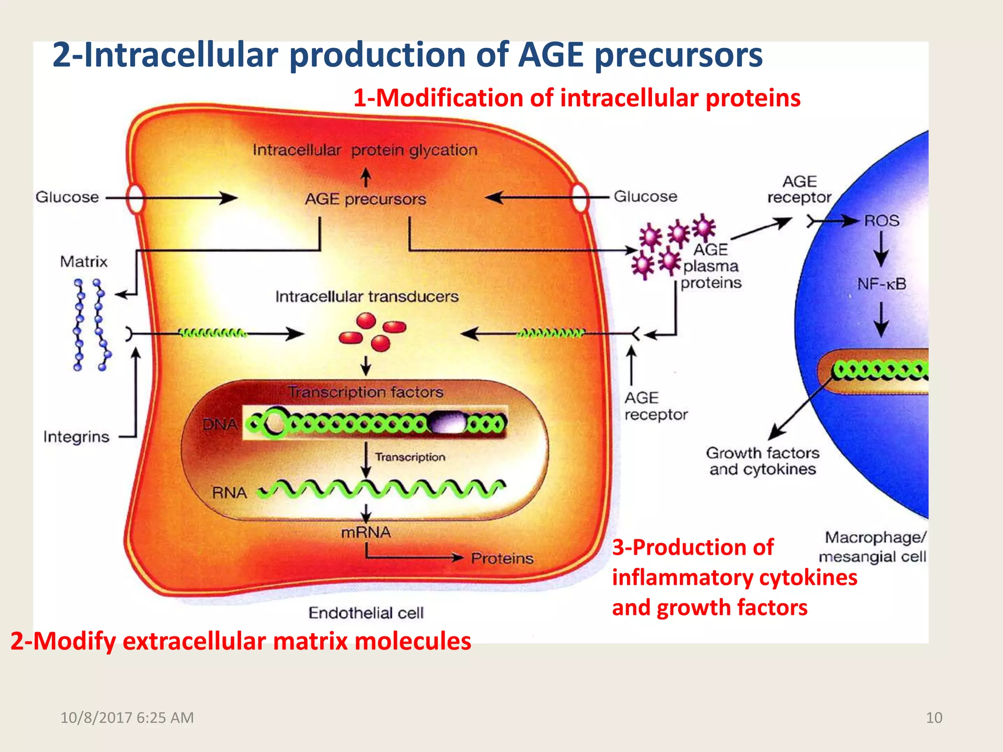Molecular and biochemical mechanisms of diabetic complications final | PPTX