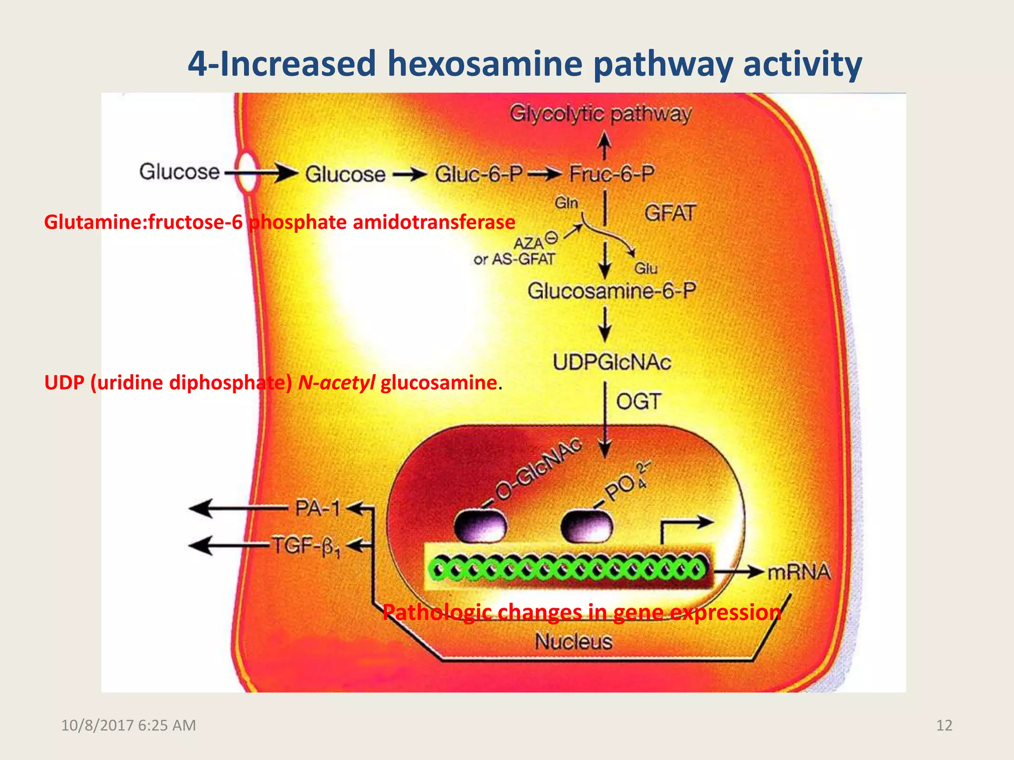 Molecular and biochemical mechanisms of diabetic complications final | PPTX
