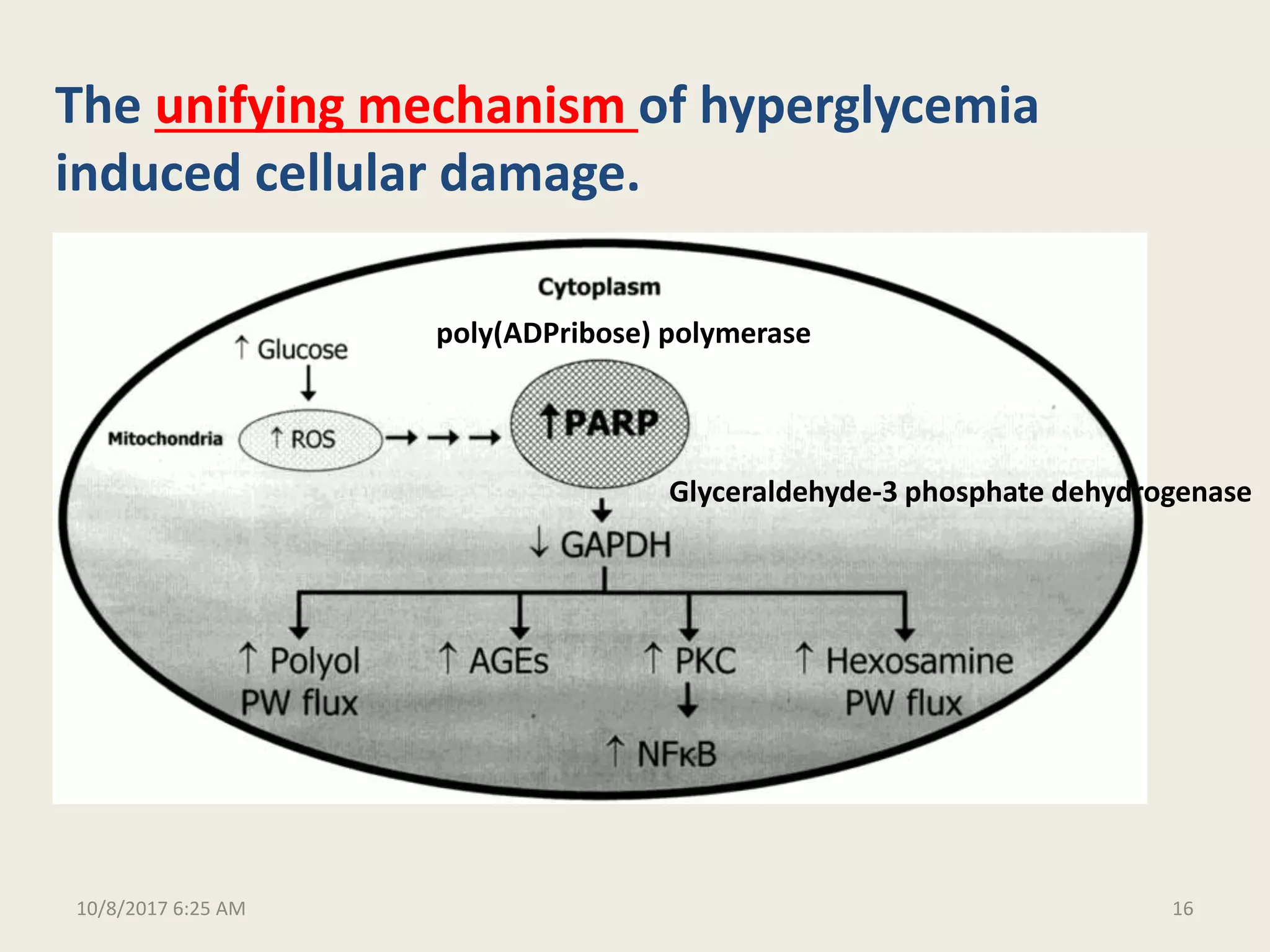 Molecular and biochemical mechanisms of diabetic complications final | PPTX