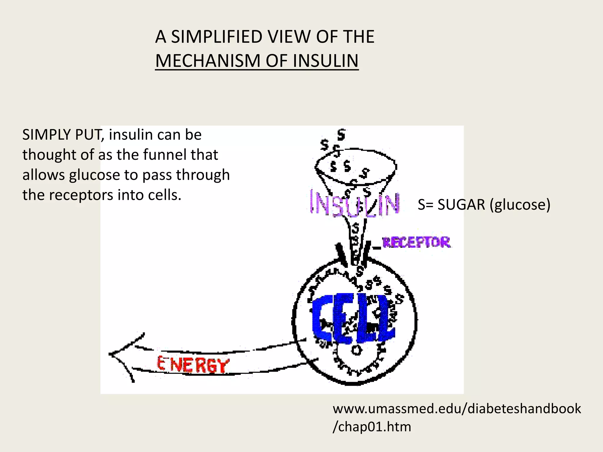 Molecular and biochemical mechanisms of diabetic complications final | PPTX