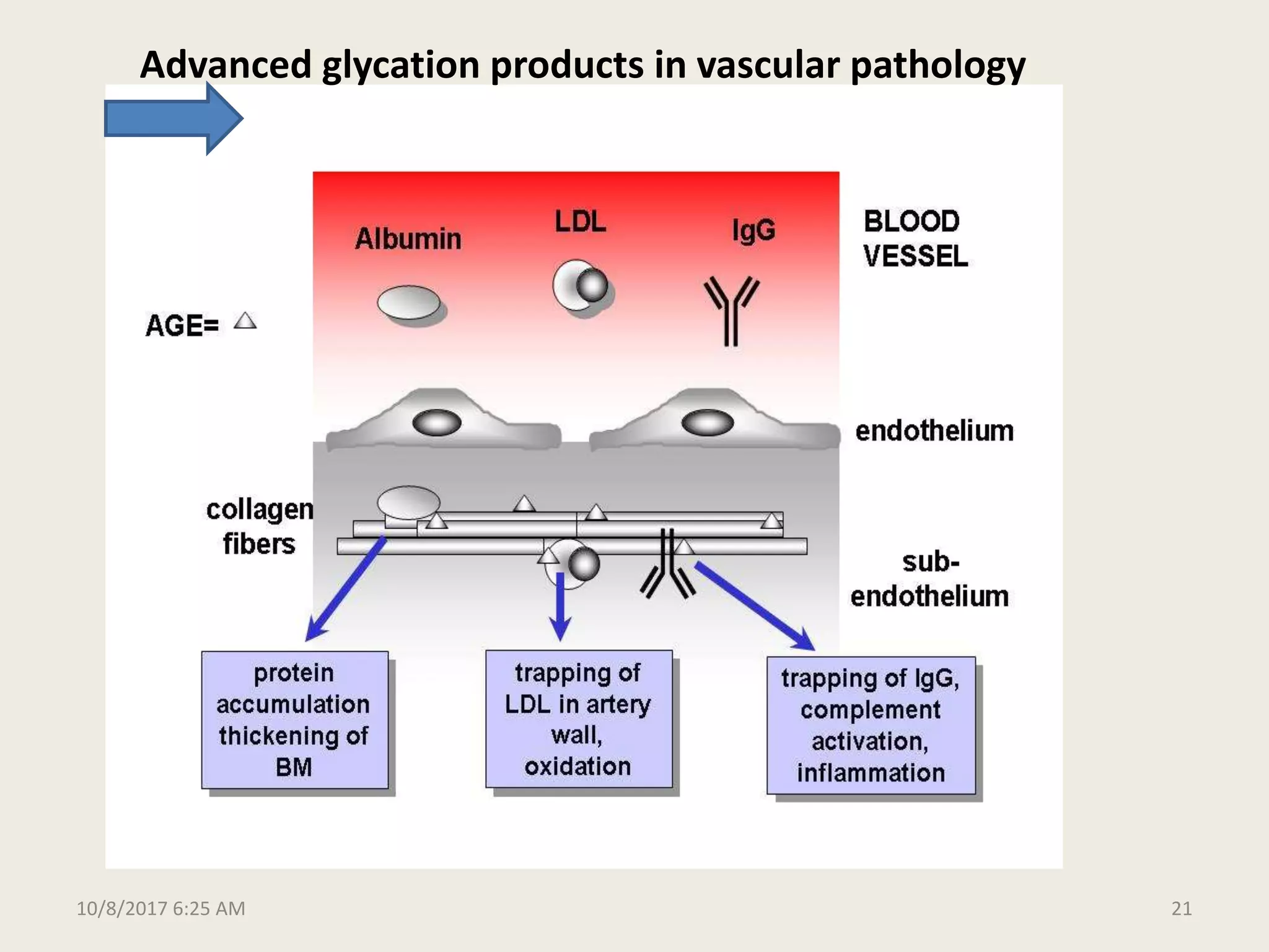 Molecular and biochemical mechanisms of diabetic complications final | PPTX