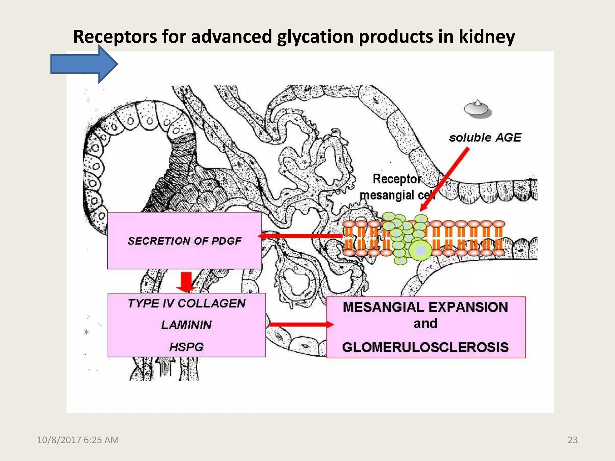 Molecular and biochemical mechanisms of diabetic complications final | PPTX