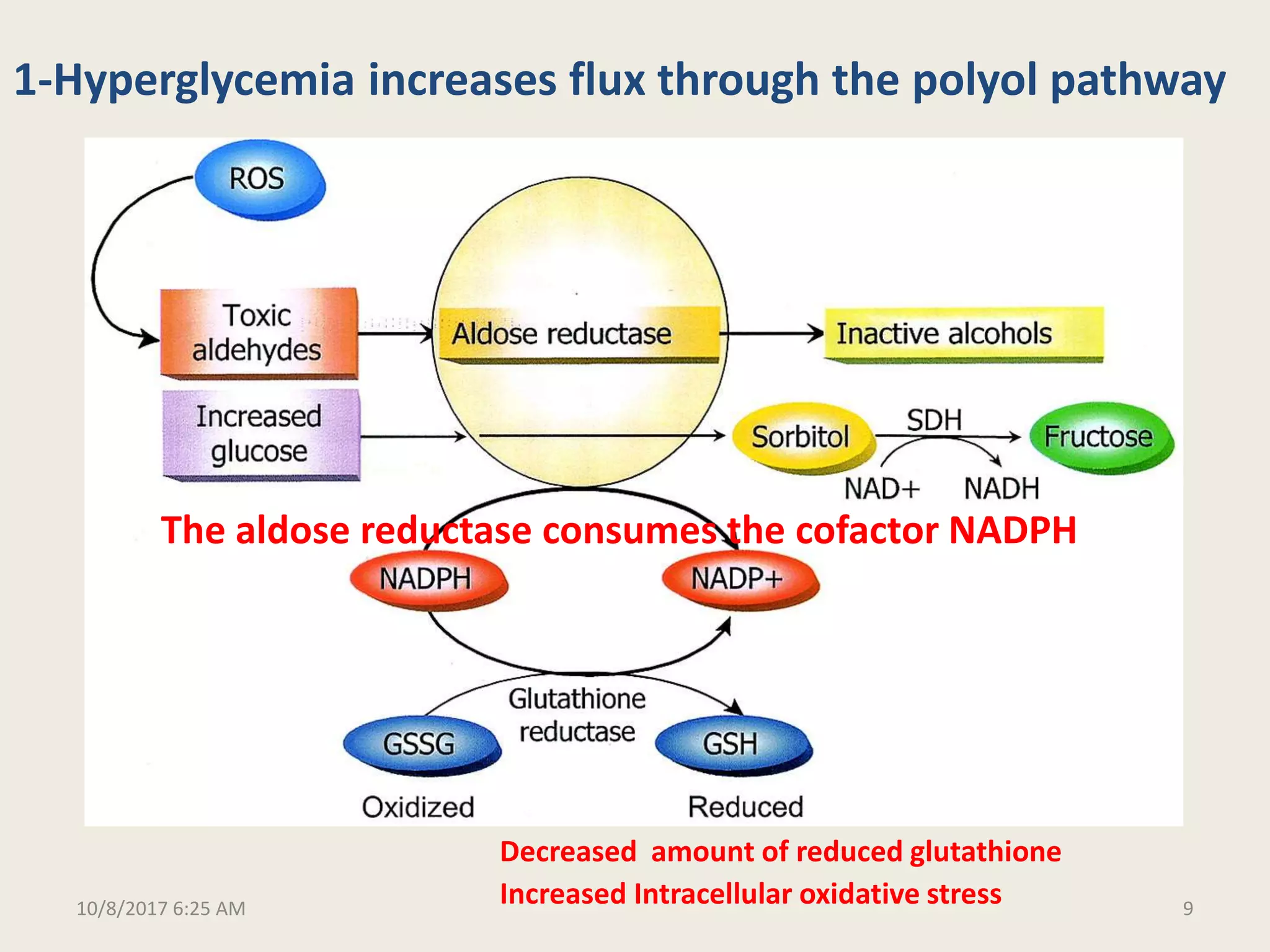 Molecular and biochemical mechanisms of diabetic complications final | PPTX