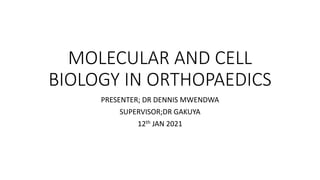 MOLECULAR AND CELL
BIOLOGY IN ORTHOPAEDICS
PRESENTER; DR DENNIS MWENDWA
SUPERVISOR;DR GAKUYA
12th JAN 2021
 