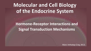 Hormone-Receptor Interactions and
Signal Transduction Mechanisms
Molecular and Cell Biology
of the Endocrine System
Marc Imhotep Cray, M.D.
 