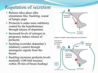 Molecular and cellular action of prolactin