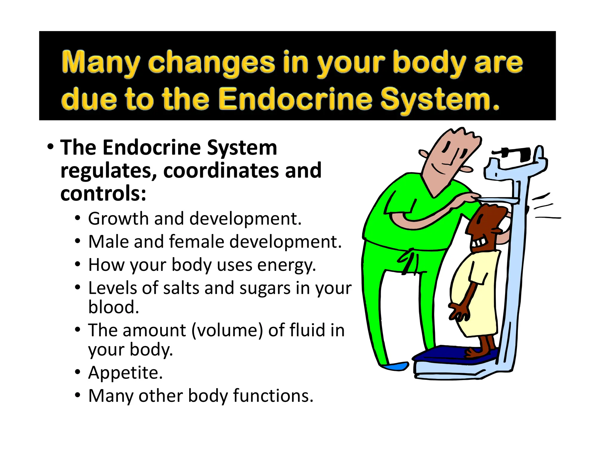 Molecular and cellular mechanism of action of Growth hormone.pdf