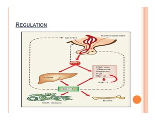 Molecular and cellular mechanism of action of Growth hormone.pdf