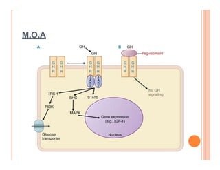 Molecular and cellular mechanism of action of Growth hormone.pdf