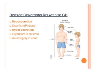 Molecular and cellular mechanism of action of Growth hormone.pdf