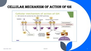 Molecular and Cellular Mechanism of Action of Hormones like Growth ...