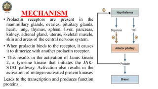 Molecular and Cellular Mechanism of Action of Hormones such as Growth ...