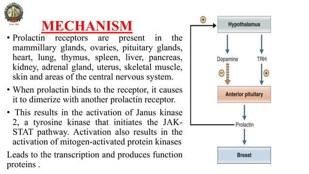 Molecular and Cellular Mechanism of Action of Hormones such as Growth ...