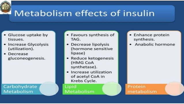 Molecular and Cellular Mechanism of Action of Hormones such as Growth ...