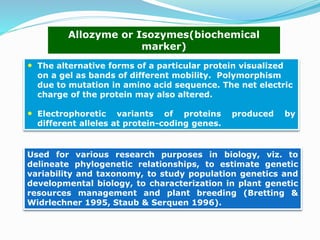 Allozyme Pattern Molecular approaches in improvement of fruit crops | PPTX