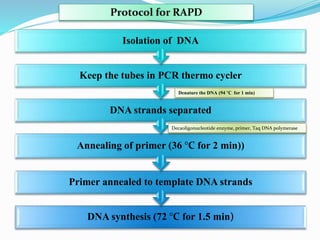 Molecular Approaches In Improvement Of Fruit Crops PPTX Molecular Approaches In Improvement Of Fruit Crops PPTX