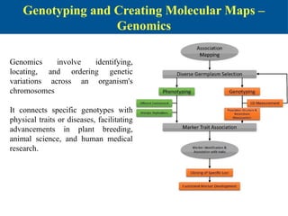 best practices for genotyping analysis of plant and... Molecular Assisted Approaches for plant Breeding.pptx