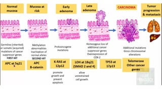 Molecular basis and etiopathogenesis of colorectal carcinoma.pptx