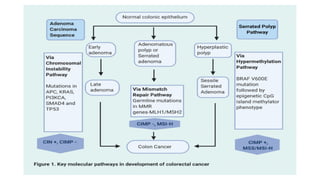 Molecular basis and etiopathogenesis of colorectal carcinoma.pptx